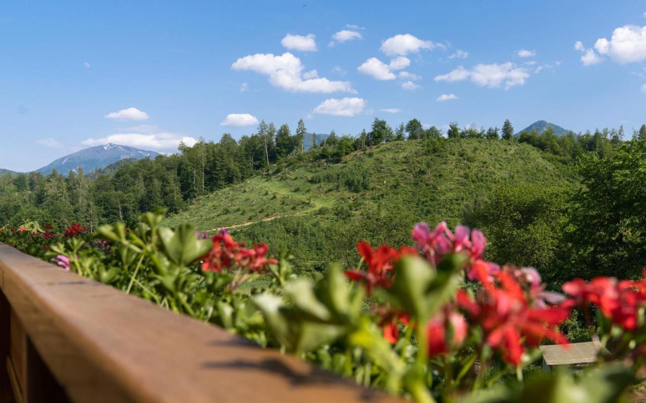 B&B Goesselsdorfer Seeblick Sittersdorf 外观 照片